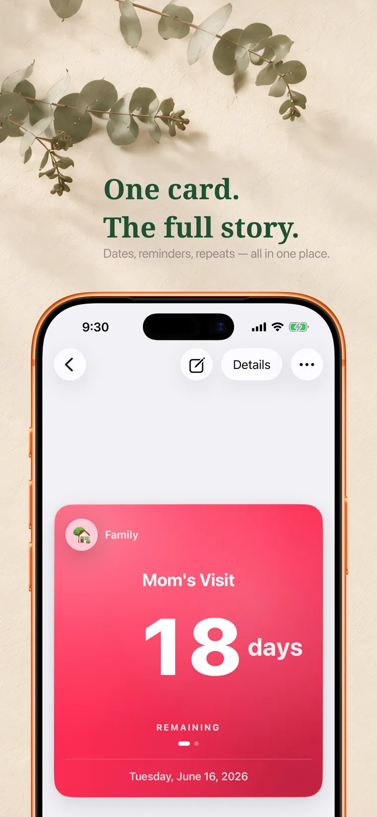 Simpliday v1.1 campaign — slide 3 of 8